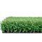 Törpüsüz Futbol Suni Çim 20mm Saha Yeşili