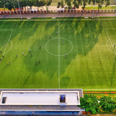 50mm PE Okul Yapay Açık Futbol Sentetik Çim